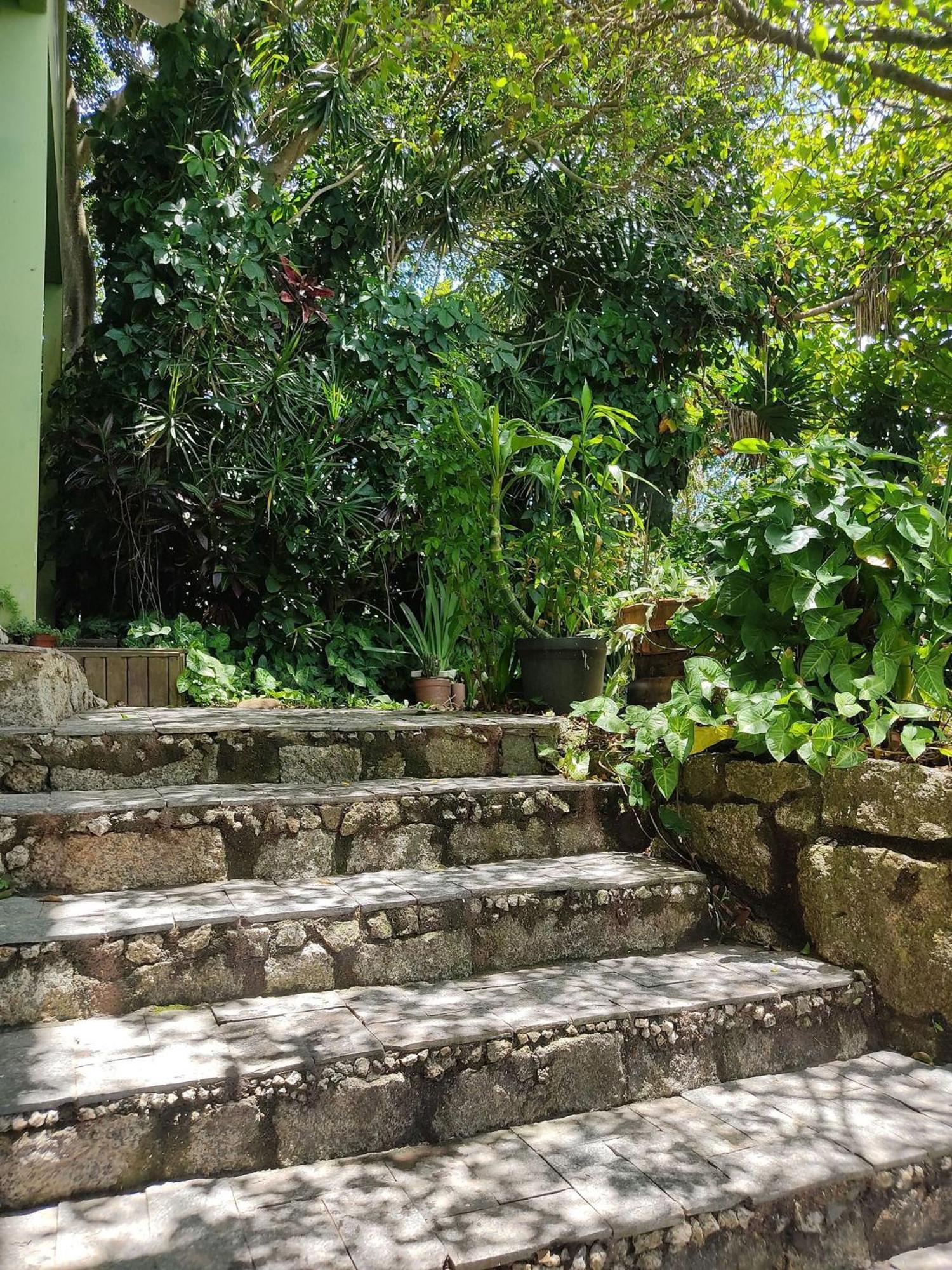 Samauma Floripa Aluguel De Quartos Florianópolis Eksteriør bilde