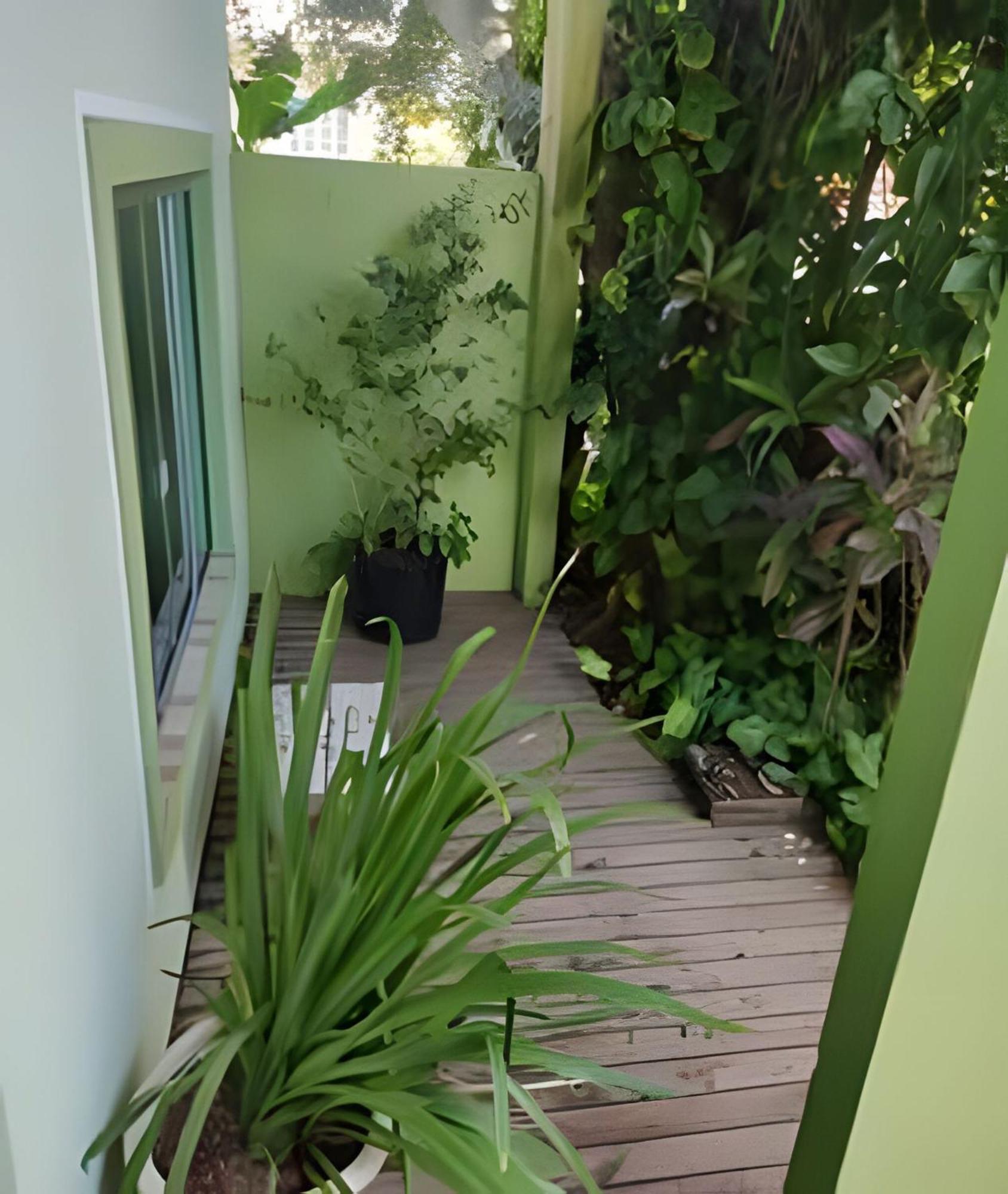 Samauma Floripa Aluguel De Quartos Florianópolis Eksteriør bilde